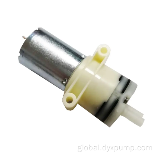 China 12V micro water pump for Hot Water Pump Manufactory